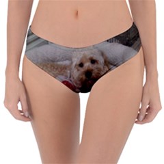 Cockapoo In Dog s Bed Reversible Classic Bikini Bottoms by pauchesstore