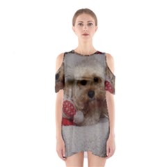 Cockapoo In Dog s Bed Shoulder Cutout One Piece Dress