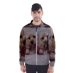 Cockapoo In Dog s Bed Windbreaker (men) by pauchesstore