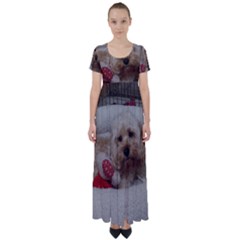 Cockapoo In Dog s Bed High Waist Short Sleeve Maxi Dress by pauchesstore