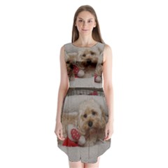 Cockapoo In Dog s Bed Sleeveless Chiffon Dress   by pauchesstore