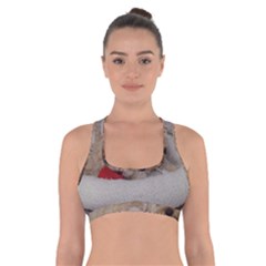 Cockapoo In Dog s Bed Cross Back Sports Bra by pauchesstore