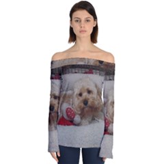 Cockapoo In Dog s Bed Off Shoulder Long Sleeve Top by pauchesstore