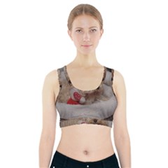 Cockapoo In Dog s Bed Sports Bra With Pocket by pauchesstore