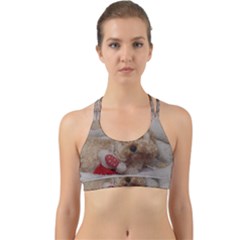 Cockapoo In Dog s Bed Back Web Sports Bra by pauchesstore