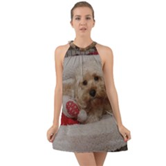 Cockapoo In Dog s Bed Halter Tie Back Chiffon Dress by pauchesstore