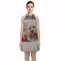 Cockapoo In Dog s Bed Velvet Halter Neckline Dress 