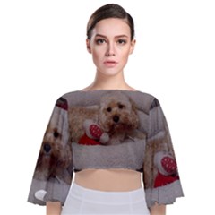 Cockapoo In Dog s Bed Tie Back Butterfly Sleeve Chiffon Top by pauchesstore