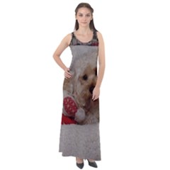 Cockapoo In Dog s Bed Sleeveless Velour Maxi Dress by pauchesstore