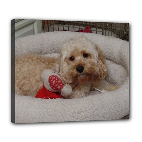 Cockapoo In Dog s Bed Deluxe Canvas 24  X 20  (stretched) by pauchesstore