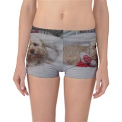 Cockapoo In Dog s Bed Boyleg Bikini Bottoms by pauchesstore