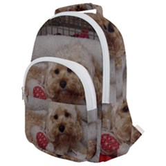 Cockapoo In Dog s Bed Rounded Multi Pocket Backpack