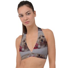 Cockapoo In Dog s Bed Halter Plunge Bikini Top