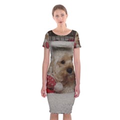 Cockapoo In Dog s Bed Classic Short Sleeve Midi Dress by pauchesstore