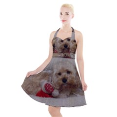 Cockapoo In Dog s Bed Halter Party Swing Dress  by pauchesstore