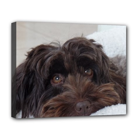 Laying In Dog Bed Deluxe Canvas 20  X 16  (stretched) by pauchesstore