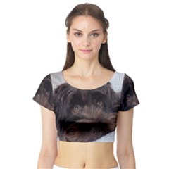 Laying In Dog Bed Short Sleeve Crop Top