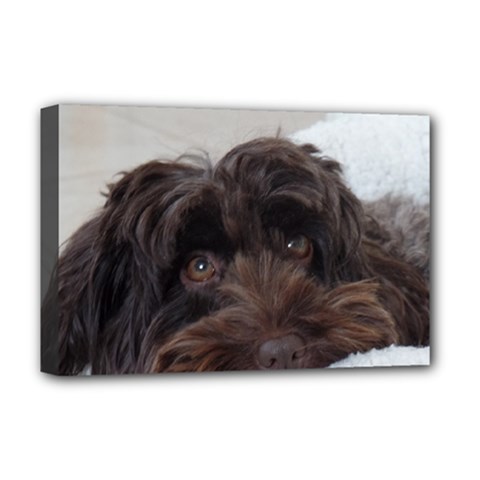 Laying In Dog Bed Deluxe Canvas 18  X 12  (stretched) by pauchesstore