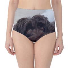 Laying In Dog Bed Classic High-waist Bikini Bottoms by pauchesstore