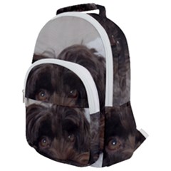 Laying In Dog Bed Rounded Multi Pocket Backpack