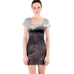 Laying In Dog Bed Short Sleeve Bodycon Dress by pauchesstore