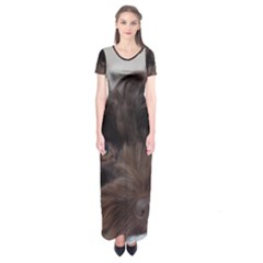 Laying In Dog Bed Short Sleeve Maxi Dress by pauchesstore