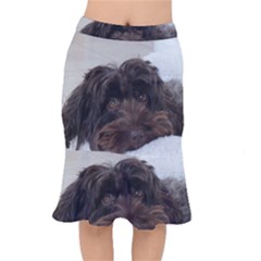 Laying In Dog Bed Mermaid Skirt by pauchesstore