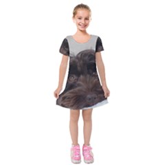 Laying In Dog Bed Kids  Short Sleeve Velvet Dress by pauchesstore