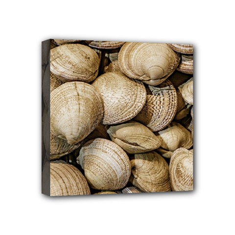 Shellfishs Photo Print Pattern Mini Canvas 4  X 4  (stretched) by dflcprintsclothing