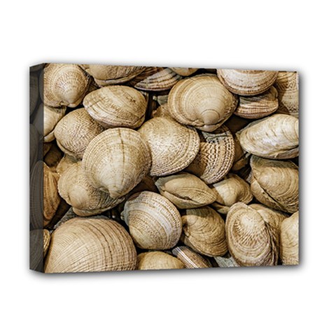 Shellfishs Photo Print Pattern Deluxe Canvas 16  X 12  (stretched)  by dflcprintsclothing