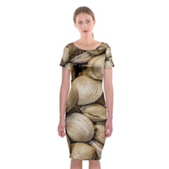 Shellfishs Photo Print Pattern Classic Short Sleeve Midi Dress by dflcprintsclothing