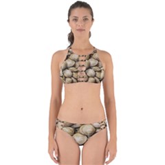 Shellfishs Photo Print Pattern Perfectly Cut Out Bikini Set by dflcprintsclothing