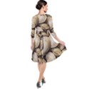 Shellfishs Photo Print Pattern Quarter Sleeve Waist Band Dress View2