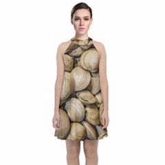 Shellfishs Photo Print Pattern Velvet Halter Neckline Dress  by dflcprintsclothing