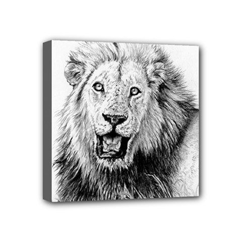 Lion Wildlife Art And Illustration Pencil Mini Canvas 4  X 4  (stretched) by Sudhe