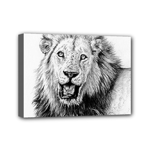 Lion Wildlife Art And Illustration Pencil Mini Canvas 7  X 5  (stretched) by Sudhe