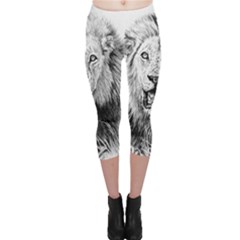 Lion Wildlife Art And Illustration Pencil Capri Leggings  by Sudhe