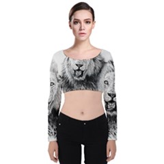 Lion Wildlife Art And Illustration Pencil Velvet Long Sleeve Crop Top by Sudhe