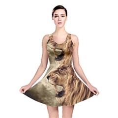 Roaring Lion Reversible Skater Dress by Sudhe