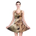 Roaring Lion Reversible Skater Dress View1