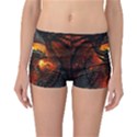 Dragon Legend Art Fire Digital Fantasy Reversible Boyleg Bikini Bottoms View1