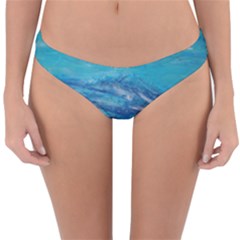 Into The Chill  Reversible Hipster Bikini Bottoms by arwwearableart