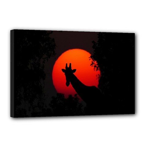 Giraffe Animal Africa Sunset Canvas 18  X 12  (stretched) by Sudhe