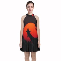 Giraffe Animal Africa Sunset Velvet Halter Neckline Dress  by Sudhe