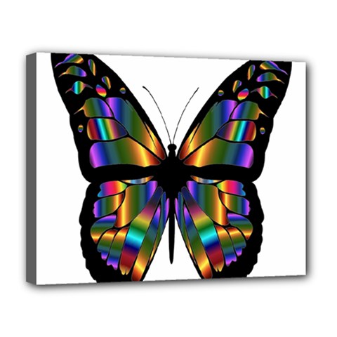 Abstract Animal Art Butterfly Canvas 14  X 11  (stretched) by Sudhe