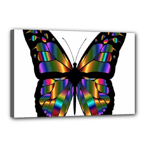 Abstract Animal Art Butterfly Canvas 18  X 12  (stretched) by Sudhe