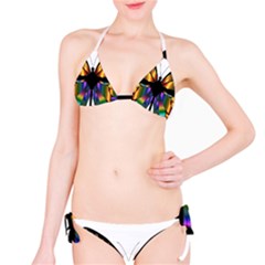 Abstract Animal Art Butterfly Classic Bikini Set by Sudhe