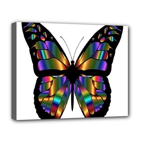 Abstract Animal Art Butterfly Deluxe Canvas 20  X 16  (stretched) by Sudhe