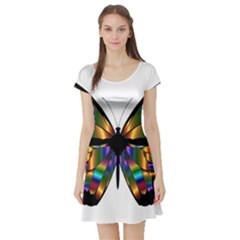 Abstract Animal Art Butterfly Short Sleeve Skater Dress by Sudhe