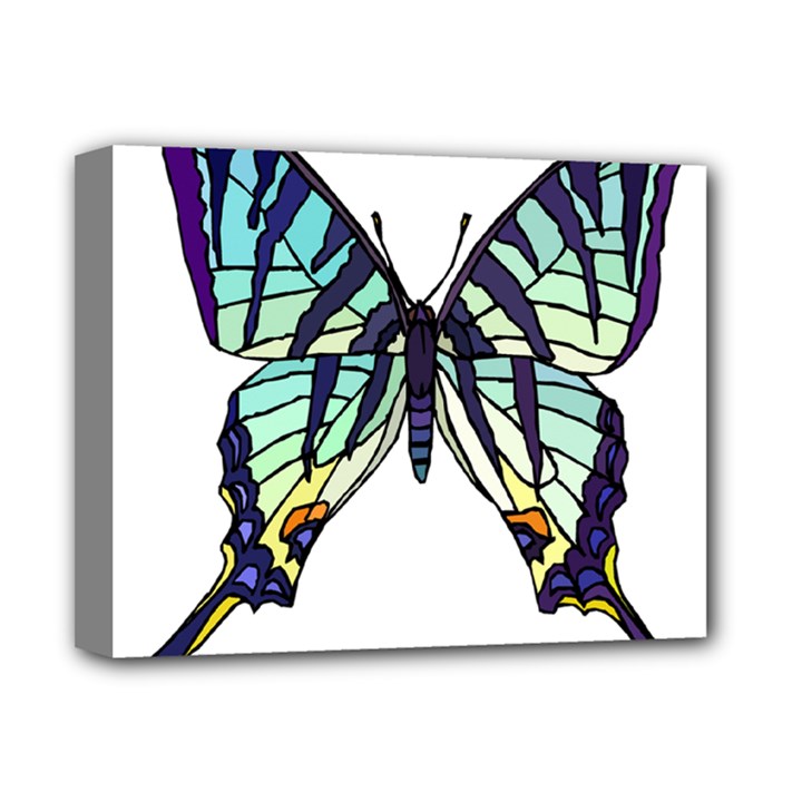 A Colorful Butterfly Deluxe Canvas 14  x 11  (Stretched)